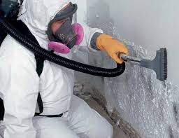 Best Emergency Mold Remediation  in Leisure Village, NJ